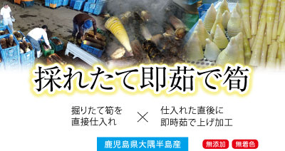 sp表示用画像。採れたて即茹で筍。鹿児島県の南東部に位置する大隅半島で掘りたてタケノコを生産者より直接仕入れています。仕入れた直後に即時茹で上げ、灰汁抜きして製品加工します。無添加で無着色の製品です。