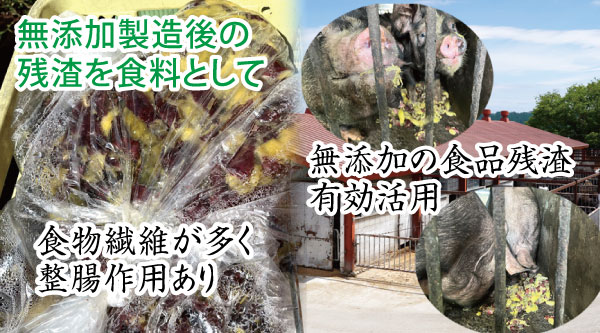 食品残渣の有効活用。さつま芋の干し芋製造ではさつま芋皮とさつま芋のヘタ部分、水煮缶筍製造では筍の皮が残ります。㈱コーセンでは製造工程で残った食品残渣のさつま芋皮と筍の皮を近隣の畜産業者さんへ無料提供しています。さつま芋皮と筍の皮は食物繊維が多く整腸作用があり、無添加製造工程で出た安心できる食料として畜産業で有効活用いただいております。